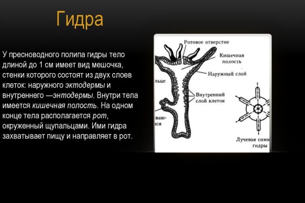 Не входит в кракен пользователь не найден