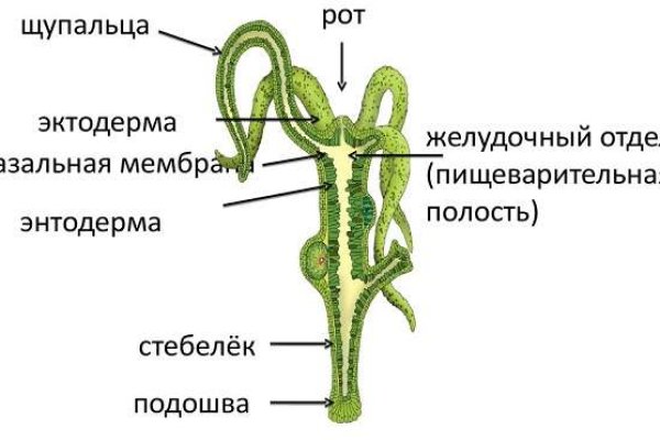 Кракен зеркало сайта