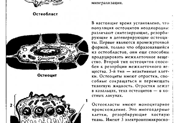 Кракен даркнет что известно